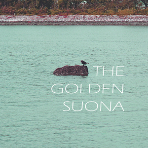 月の明り(soprano sax cover by GS)