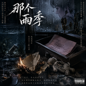 那个雨季