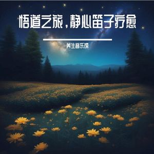 智慧之光 (笛子修心)