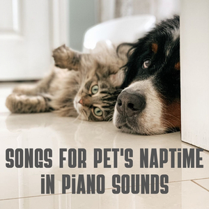 Purrfect Pet Nap Melody