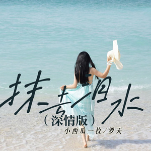 抹去泪水 (深情版)