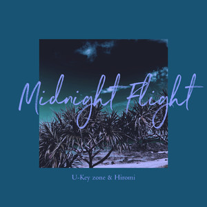 Midnight Flight