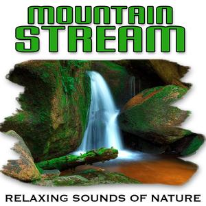 Restful Mountain Stream to Heal the Spirit and Mend the Heart