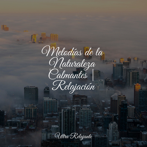 Vivificar