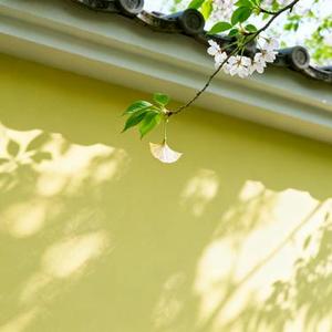 春悄走远时光入夏