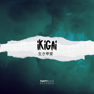 ikigai (Dataheist Remix)