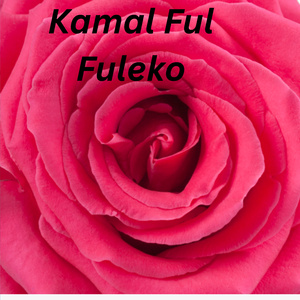Kamal Ful Fuleko