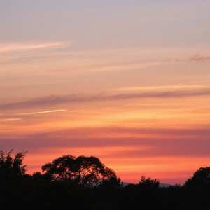 晚风徐来月色明
