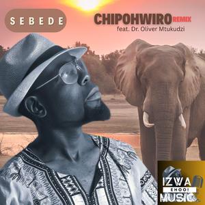 CHIPOHWIRO (Oliver Mtukudzi Remix)