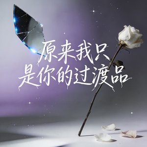原来我只是你的过渡品