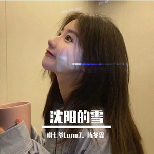 她走后沈阳又下雪