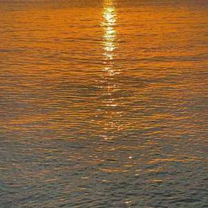 就让我在春风沉醉的夜晚老去