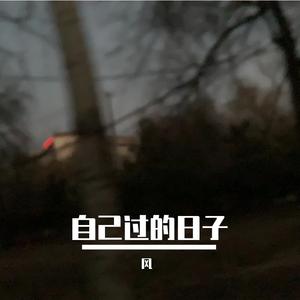 爱你孤身走暗巷