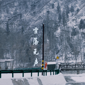 雪落无声