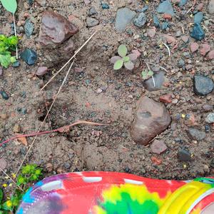 Why Are You Like That? (feat. Meg) (Demo)