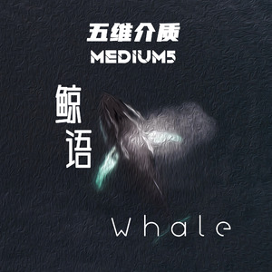 鲸语