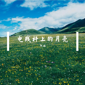 电线杆上的月亮