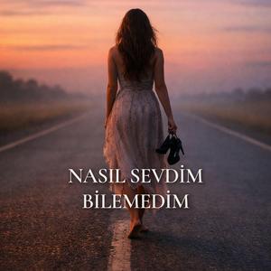 Nasıl Sevdim Bilemedim