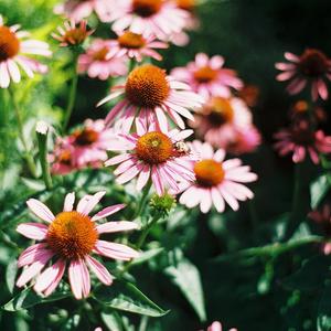 solo dios sabe si vuelvo (julian herreros rivera)