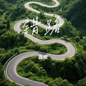 错路