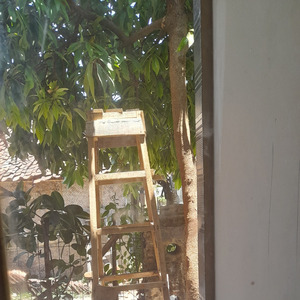 Perasan ini