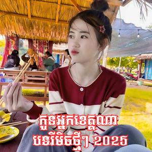 កូនអ្នកខេត្តណា បទរីមិចថ្មីៗ 2026 Remix Song