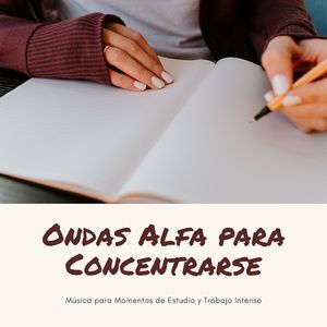 Trabajar y Concentrarse