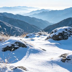 初雪