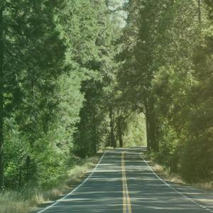 Quiet Own Way