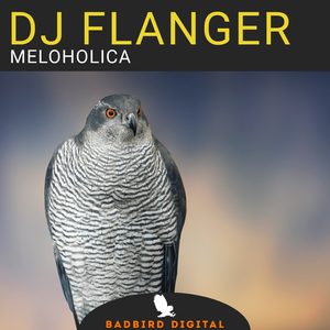 Meloholica (Dub Mix)