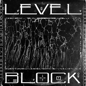 Level (Original Mix)