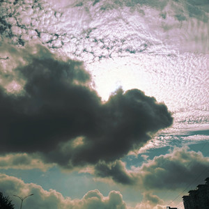 小鸡追着母鸡跑