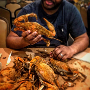 No Handouts 2025 (ft. John Wells) (produced by Anno Domini)