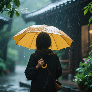 蝉时雨