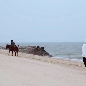 那天我离开了你的城市 (1)