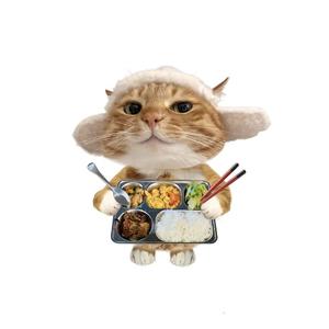 哈漫波（跑刀神曲2.0）