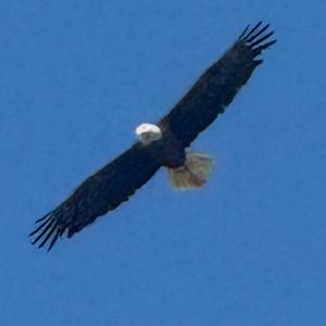 Ching a ching (i do my thing)