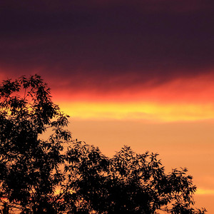 叱られて - 高音質ハーモニカ＆ピアノ