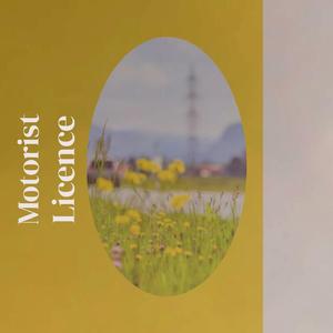 Motorcoach Whereinto