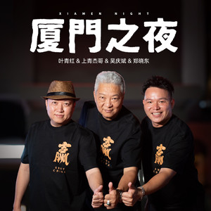 厦门之夜 (精简版)