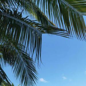 那时的月亮 伴奏