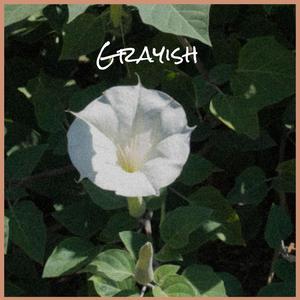 Grayish