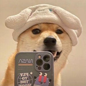 丑恶陷阱（翻自 Ugly Z）