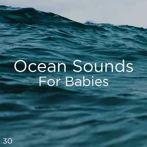 Le Bruit De L'Océan Pour Étudier