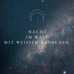 Dschungelgeräusche Weißes Rauschen (Endlosschleife)