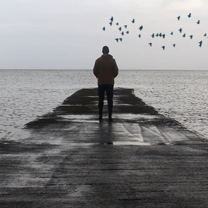 Bluebirds