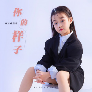 你的样子 (伴奏)