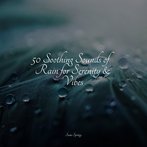 Watching Rains