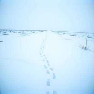 Footprints In The Snow