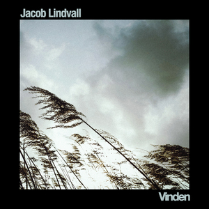 Vinden